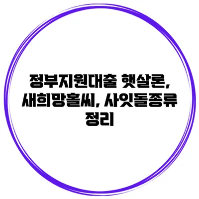 정부지원대출 햇살론, 새희망홀씨, 사잇돌종류 정리